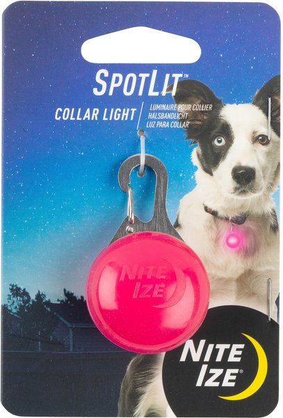 Nite Ize SpotLit Dog & Cat Carabiner Collar Light, Pink slide 1 of 5
