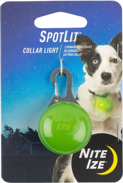 Nite Ize SpotLit Dog & Cat Carabiner Collar Light, Lime slide 1 of 4