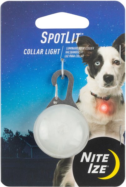 Nite Ize SpotLit Dog & Cat Carabiner Collar Light, Red slide 1 of 3