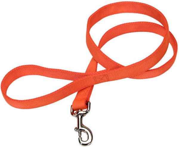 REMINGTON Double-Ply Polyester Dog Leash, Safety Orange, 6-ft long, 1 ...