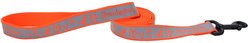 Remington Polyester Reflective Dog Leash, Orange Duck Cattails, 6-ft long, 1-in wide