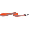 Remington Polyester Reflective Dog Leash, Orange Duck Cattails, 6-ft long, 1-in wide