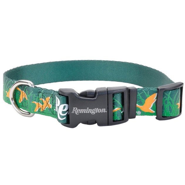Details about   REMINGTON SPORTING DOG Lifestyle Collar GREEN AND ORANGE DUCKS NWT 