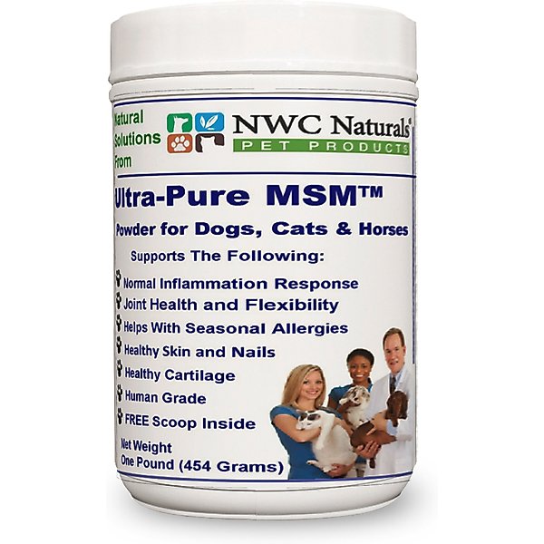 What is msm supplement for dogs