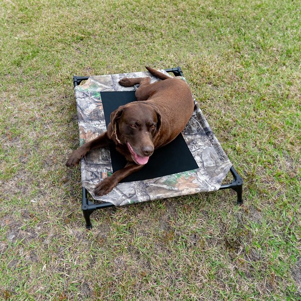 Raised Dog Cot 