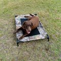 K&H Pet Products Original Pet Cot Elevated Dog Bed, Realtree Edge, Camo/Black Mesh, Large 