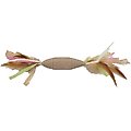 Turbo Natural Cat Toy, Candy
