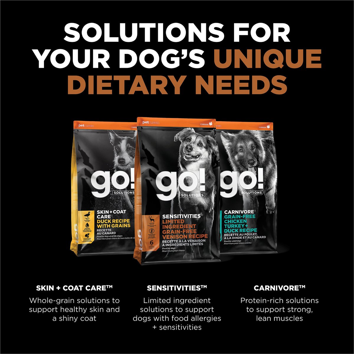 Go venison hot sale dog food