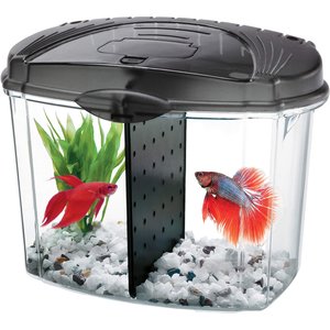 Aqueon Betta Fish Tank Starter Kit, 0.5-gal, Black