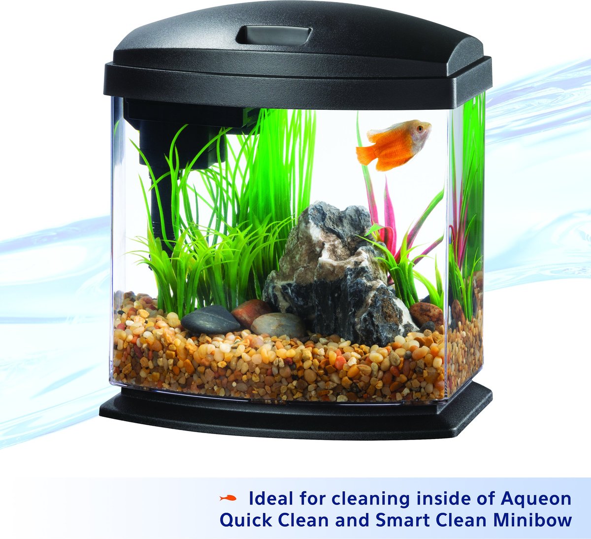 AQUEON MiniBow Aquarium Algae Cleaning