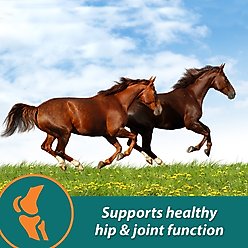 Farnam Next Level Joint Pellets Dog & Horse Supplement, 1.875-lb jar slide 2 of 13