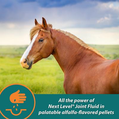 Show full view: Farnam Next Level Joint Pellets Dog & Horse Supplement, 1.875-lb jar slide 4 of 13
