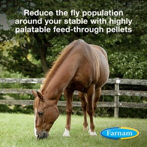 Farnam SimpliFly Feed-Thru Fly Control Pellets Horse Supplement, 10-lb bucket