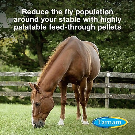 Farnam SimpliFly Feed-Thru Fly Control Pellets Horse Supplement, 20-lb bucket