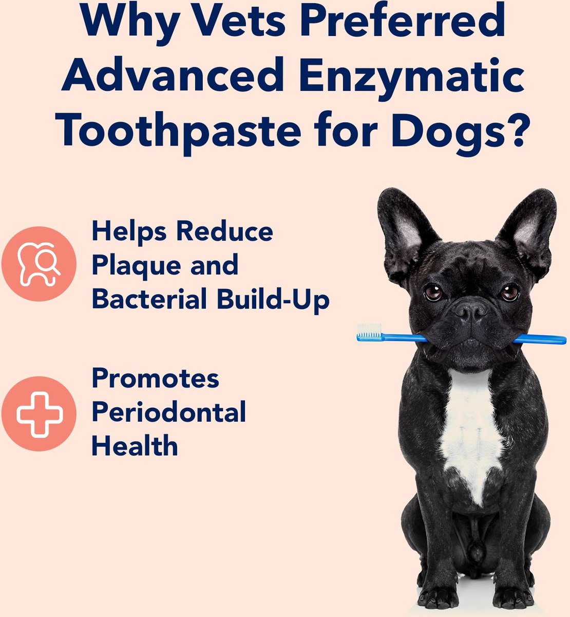 Peanut butter flavored outlet dog toothpaste