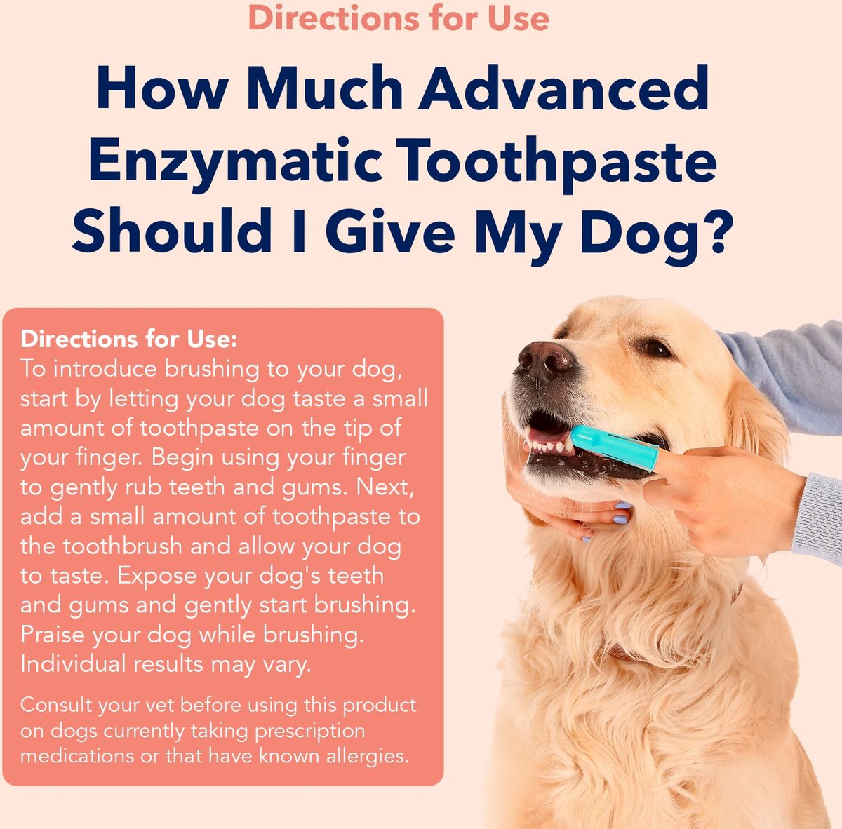 Peanut butter 2024 dog toothpaste