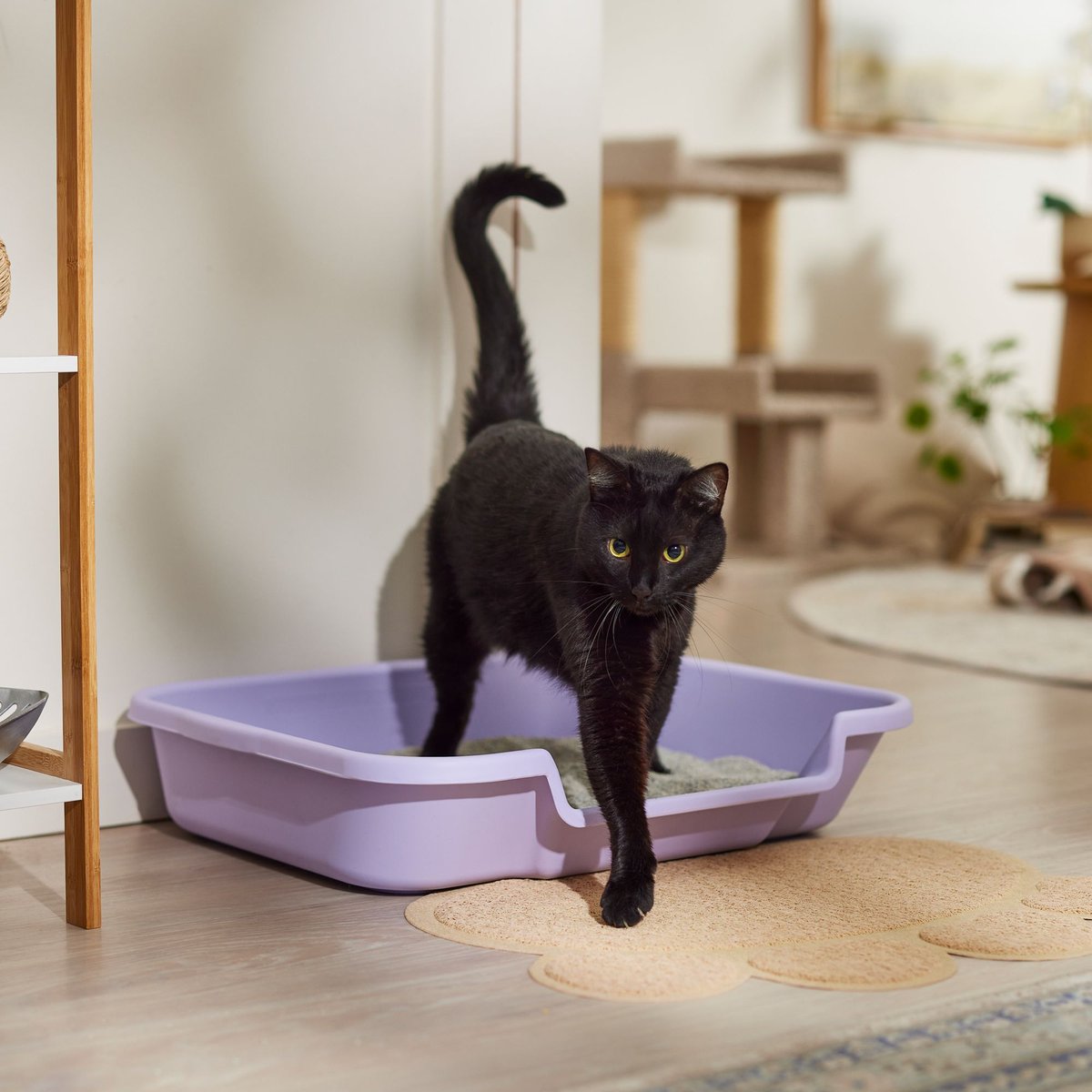 KITTYGOHERE Senior Cat Litter Box, Lavender, Large