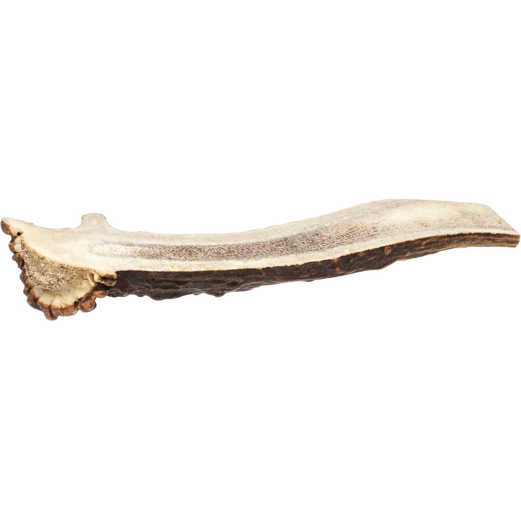 Redbarn Solid Bully Coated Deer Antler Dog Chews
