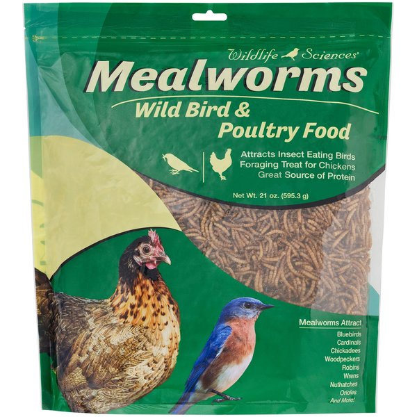 wildlife sciences mealworm feeder