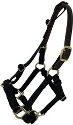 GG Equine Premium Breakaway Horse Halter, Black, Mini slide 1 of 7