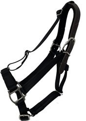 GG Equine Premium Breakaway Horse Halter, Black, Horse slide 2 of 5