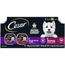 Cesar Backyard Cookout Variety Pack Grilled Chicken Flavor & Porterhouse Steak Flavor Adult Wet Dog Food, 3.5-oz trays, case of 12