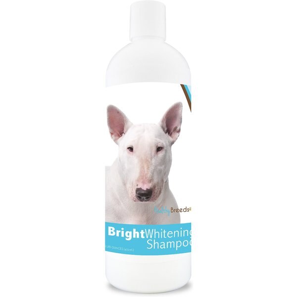 BIOSILK Therapy Moisturizing Dog Shampoo, 12oz bottle