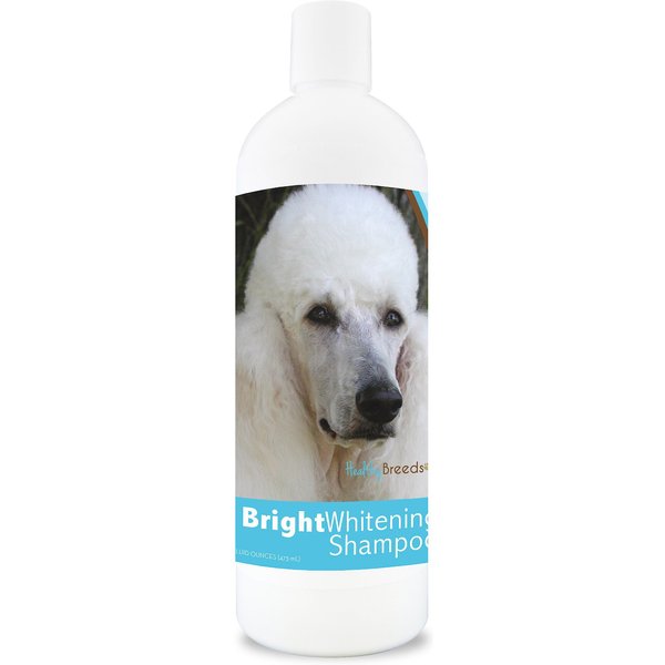 HEALTHY BREEDS Poodle Bright Whitening Dog Shampoo, 12fl oz bottle