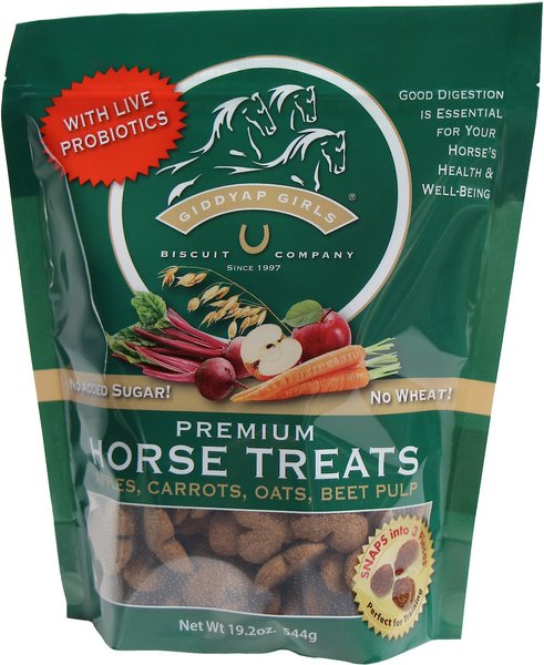 GIDDYAP GIRLS Biscuit Company Premium Apple Horse Treats, 19.2-oz bag ...