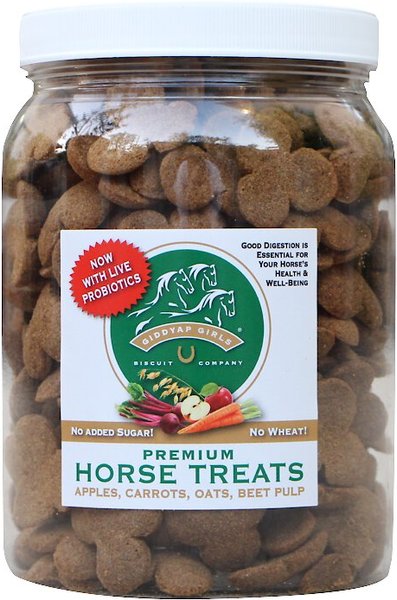 GIDDYAP GIRLS Biscuit Company Premium Apple Horse Treats, 2-lb jar ...