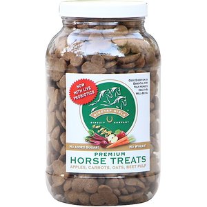 Giddyap Girls Biscuit Company Premium Apple Horse Treats, 3.5-lb jar