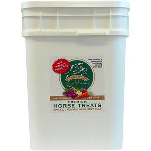 Giddyap Girls Biscuit Company Premium Apple Horse Treats, 15-lb pail