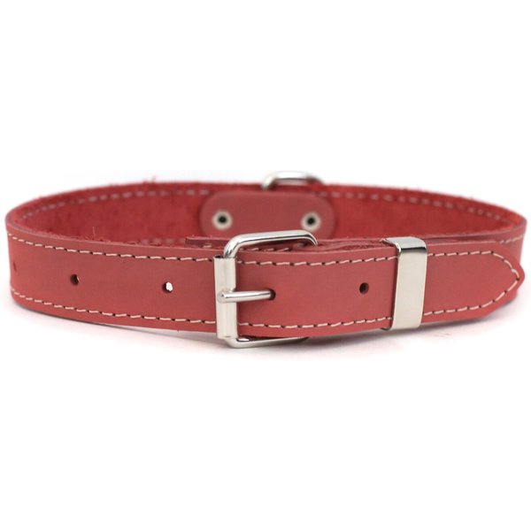 EURO-DOG Traditional Leather Dog Collar, Coral, Small: 12 to 15-in neck ...