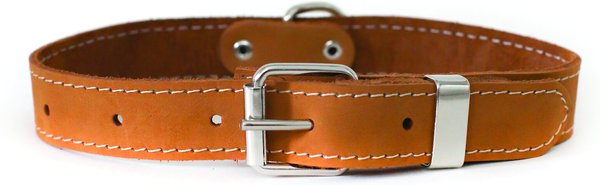 Euro-Dog Traditional Leather Dog Collar, Tan, X-Large: 17 to 23-in neck slide 1 of 6