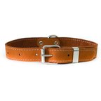 EURO-DOG Traditional Leather Dog Collar, Coral, Small: 12 to 15-in neck ...