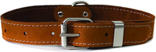 Euro-Dog Traditional Leather Dog Collar, Bark Brown, Medium: 13 to 17-in neck slide 1 of 6