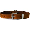 Euro-Dog Traditional Leather Dog Collar, Bark Brown, Medium: 13 to 17-in neck