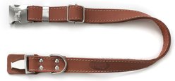 Euro-Dog Quick Release Leather Dog Collar, Coral, X-Large: 16 to 26-in neck slide 2 of 5
