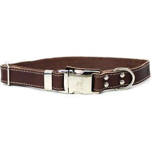 Euro-Dog Quick Release Leather Dog Collar, Burgundy, Small: 10 to 15-in neck