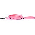 Euro-Dog PVC Dog Leash, Coral, 6-ft long, 5/8-in wide