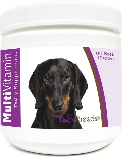 Healthy Breeds Dachshund Multivitamin Soft Chews Dog Supplement, 60 count slide 1 of 2