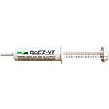 BioEZ VF 80 Billion Probiotic Gel Paste 6 Strain Digestive Solution 80cc Syringe