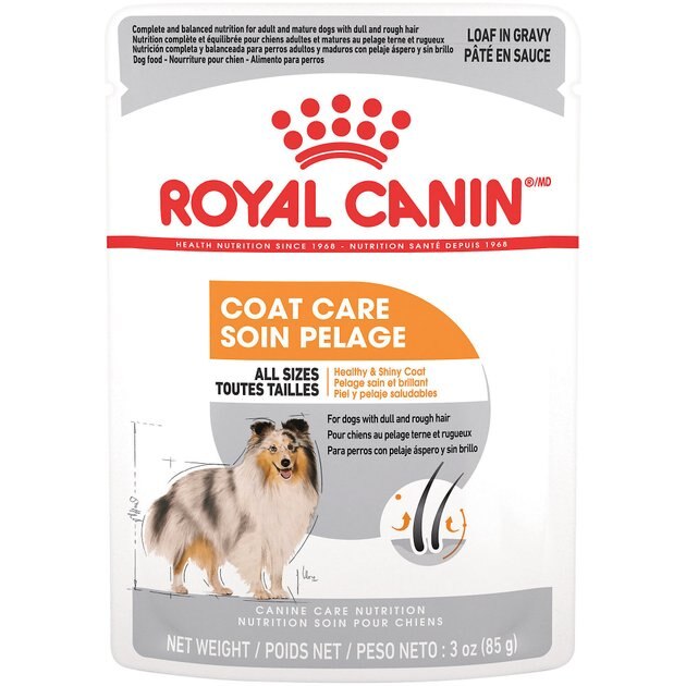 royal canin coat care wet