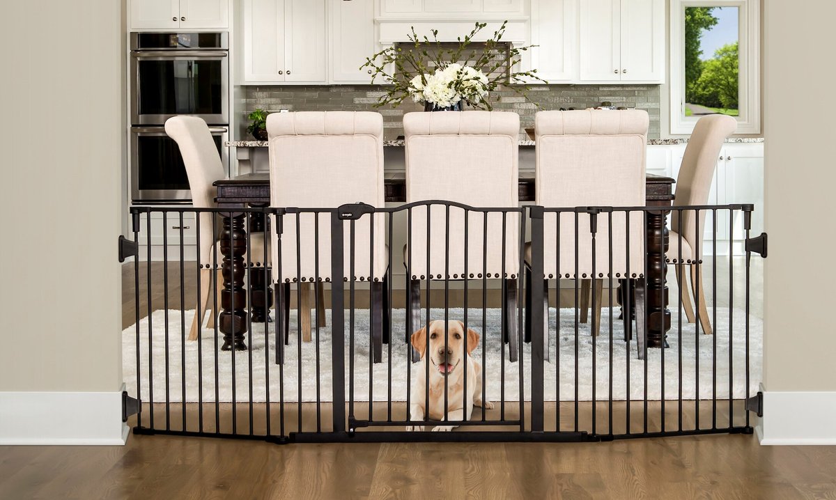 REGALO Pet Products Home Accents Widespan Dog Gate - Chewy.com