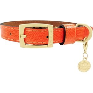 Hartman & Rose Park Avenue Leather Dog Collar, Orange, Medium: 13 to 16-in neck, 1-in wide
