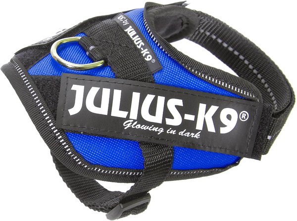 Julius-K9 IDC Powerharness Nylon Reflective No Pull Dog Harness, Blue, Baby 2: 13 to 17.5-in chest slide 1 of 4