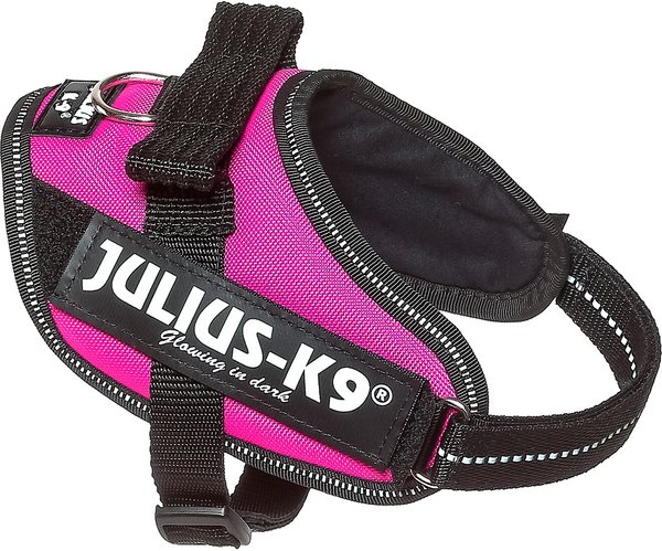 Julius-K9 IDC Powerharness Nylon Reflective No Pull Dog Harness, Dark Pink, Mini: 19.3 to 26.4-in chest slide 1 of 4