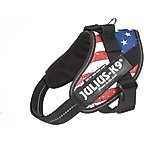 USA Flag