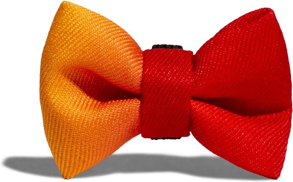 Zee dog bow clearance tie