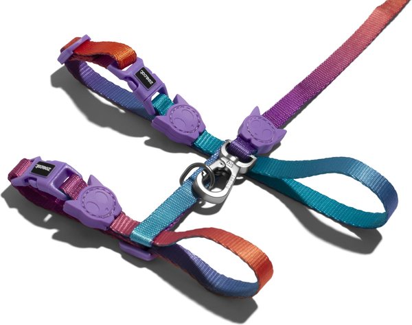 Chewy cat harness sales and leash